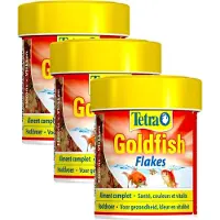 Tetra Visvoer Goldfish Vlokken - Vissenvoer - 3 x 66 ml