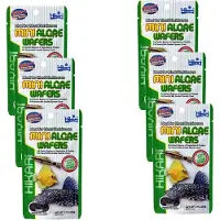 Hikari Mini Algae Wafers - Vissenvoer - 6 x 22 g