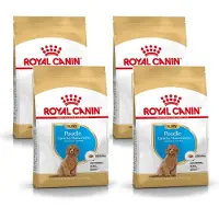 Royal Canin 4x Poodle Puppy Hondenvoer 3 kg