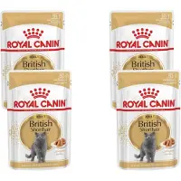 Royal Canin - British Shorthair Loaf Kattenvoer Nat - 48 x 85 gr