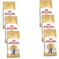 Royal Canin British Shorthair Adult - Kattenvoer - 6 x 400 g