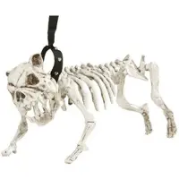 Finidi Hondenskelet aan een riem voor Halloween