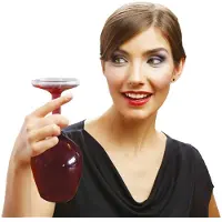 Mikamax Upsidedown Wijnglas – Omgekeerd wijnglas - Wineglass – Grappig Cadeau– 350 ml – Transparant Glas