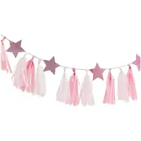 Ginger Ray Tassel Slinger Roze Wit - 2 Meter