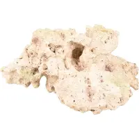 Flamingo Ad Rocco Koraal Beige 18x13,3x9,5 Cm Flamingo