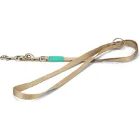 Beeztees BZ NYLON LOOD UNI BEIGE 2 (Hond, Algemeen)
