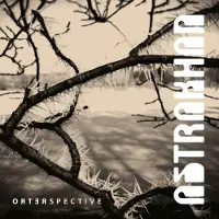 Suburban Retrospective