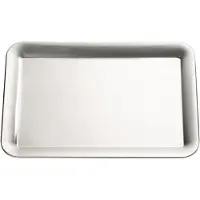 Aps Schaal RVS Schaal 29x20 cm