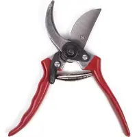 Green Arrow Snoeischaar 21 cm Rood