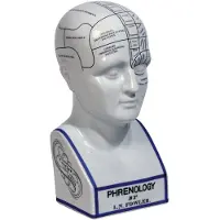 Authentic Models - Frenologie hoofd - 30,4CM - Porselein - Phrenology Head