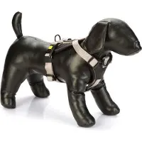 Beeztees Hondentuig Parinca Premium Grijs 42-46 X 2 Cm