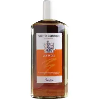 Careline Kruidenolie Lavendel - Voor Whirlpools & in bad (500ml)