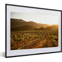 PosterMonkey Fotolijst incl. Poster - Wijngaard bij zonsondergang - 40x30 cm - Posterlijst