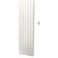 Radson Tamari V Elektrische Designradiator 1000 Watt (46cm x 185cm)
