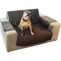 Pets Collection Bankbeschermer - beschermt tegen beschadigingen van je huisdier