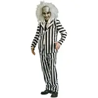 Rubies Beetlejuice Striped Costume Veelkleurig