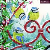 Craft Buddy Diamondpainting Kaart frosted feathers 18x18cm