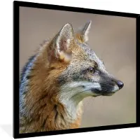 PosterMonkey Fotolijst incl. Poster - Vos - Macro - Bruin - 40x40 cm - Posterlijst