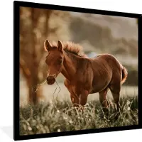 PosterMonkey Fotolijst incl. Poster - Paard - Licht - Weide - 40x40 cm - Posterlijst