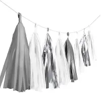 Amscan Tassel Slinger Zilver Mix - 3 Meter