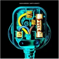 Virgin Music Group B V Cnt SANITY &AMP; GRAVITY