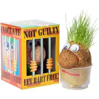 Baltus Mr Bart , grootverpakking van 36 stuks.