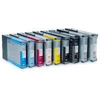Epson ink cartridge grey T 543 110 ml T 5437