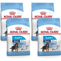Royal Canin Maxi - Puppy-Hondenvoer - 4 x 4 kg