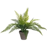Mica Kusntplant varen in pot