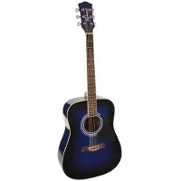 Richwood Akoestische gitaar Artist Series Dreadnought RD-12-BK
