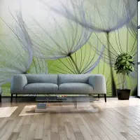 Karo-art 245cm X 175cm - Zelfklevend fotobehang - Paardebloemen, 8 maten, premium print