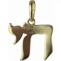 New Bling 9NBSAM-G190660 Gouden Hangertje - Dames - Chai - 9 x 11,5 mm - 14 Karaat - Bedel - Goud