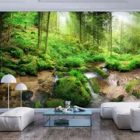 Karo-art 245cm X 175cm - Zelfklevend fotobehang - Vochtig bos in de ochtend , Premium Print