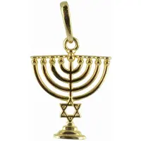 New Bling 9NBSAM-G190661 Gouden Hangertje - Dames - Chanoeka - Kandelaar - Davidster - 11,5 x 10,3 mm - 14 Karaat - Bedel - Goud