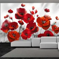 Karo-art 294cm X 210cm - Zelfklevend fotobehang - Rode Klaprozen, 8 maten, premium print