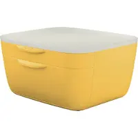 Leitz Cosy Ladenblok - Ladekastje Met 2 Laden - Ladenbox Voor Bureau - Ideaal voor Thuiskantoor/Thuiswerken - Warm Geel