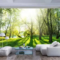 Karo-art 245cm X 175cm - Zelfklevend fotobehang - Zonnige dag in een bos , Premium Print