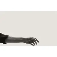 Kuroneko Media Cnt LIMBS