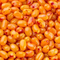 Jelly Belly Perzik - 1 kilo