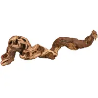Trixie Wijnstokkenset 55-80 Cm
