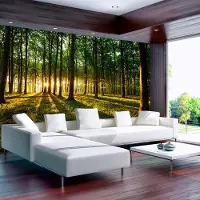 Karo-art 147cm X 105cm - Zelfklevend fotobehang - Zomers bos , Premium Print