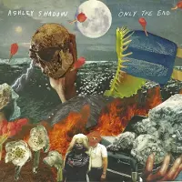 Konkurrent Ashley Shadow - Only The End (LP) (Coloured Vinyl) (Limited Edition)