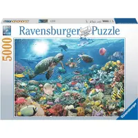 Ravensburger Leven in het koraalrif