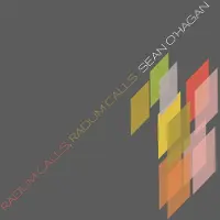 Ginza.se Sean O'Hagan - Radum Calls, Radum Calls (LP)