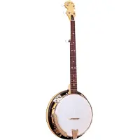Gold tone CC-100R Cripple Creek banjo met demontabele resonator