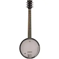 Gold tone AC-6+/L Banjitar linkshandig, met element en gigbag