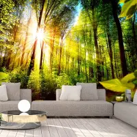 Karo-art 343cm X 245cm - Zelfklevend fotobehang - Verstop plek in het bos , Premium Print