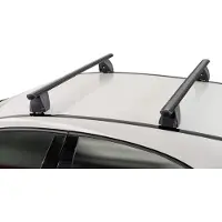 Menabo Dakdragers geschikt voor Peugeot 407 2004-2011 4-deurs sedan Delta zwart