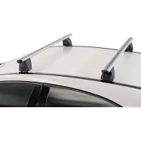 Menabo Dakdragers geschikt voor Citroën Berlingo III (K9) 2018-heden Delta zilver
