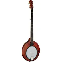Gold tone EB-5 elektrische banjo, met draagtas